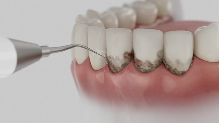 Reliable Dental contractor in Dentsville, SC by Dentist Open Now
